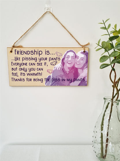 Handmade Wooden Hanging Wall Plaque Friendship is Like Pants Feel It's Warmth Funny Joke Rude Gift Sign