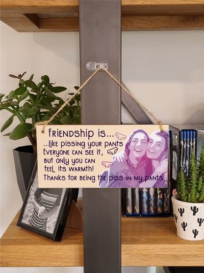 Handmade Wooden Hanging Wall Plaque Friendship is Like Pants Feel It's Warmth Funny Joke Rude Gift Sign