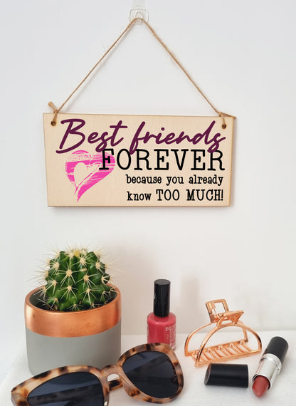 Best Friends Forever Know Too Much Funny Handmade Wooden Hanging Wall Plaque Decoration Gift BFF Bestie Friendship