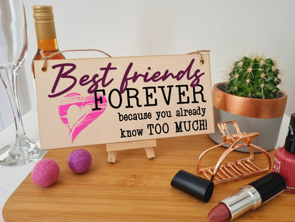 Best Friends Forever Know Too Much Funny Handmade Wooden Hanging Wall Plaque Decoration Gift BFF Bestie Friendship