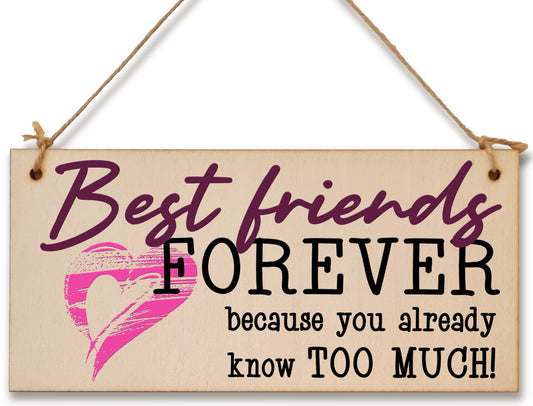 Best Friends Forever Know Too Much Funny Handmade Wooden Hanging Wall Plaque Decoration Gift BFF Bestie Friendship