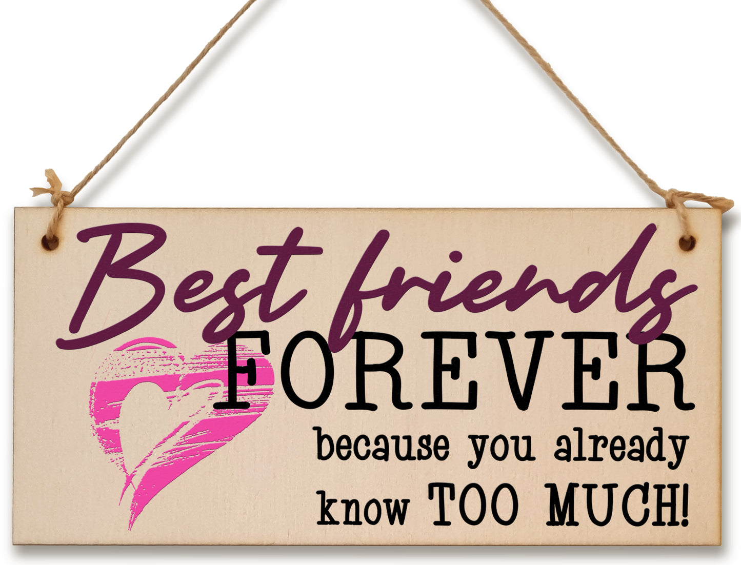 Best Friends Forever Know Too Much Funny Handmade Wooden Hanging Wall Plaque Decoration Gift BFF Bestie Friendship